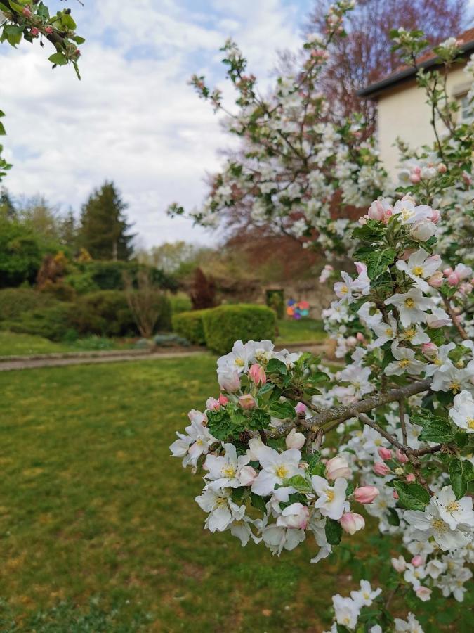 Chambres D'Hotes La Tuilerie Blainville-sur-l'Eau 外观 照片